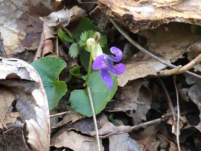 40605286-9AC8-4A98-BAF7-3A2B96BD6C63