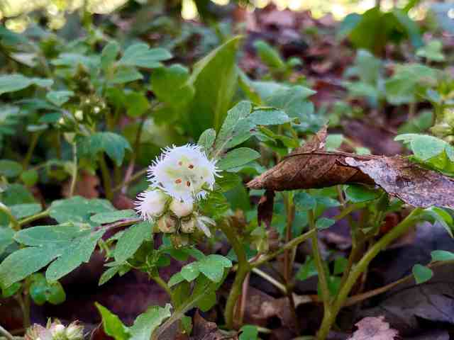 685EA7CB-ECFE-44DE-9507-1C02C82427BB