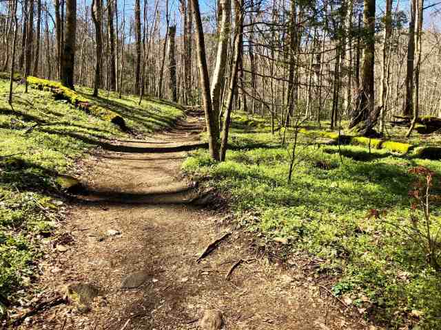 9EBFC46D-C892-43BD-8AA1-D1D65E726744