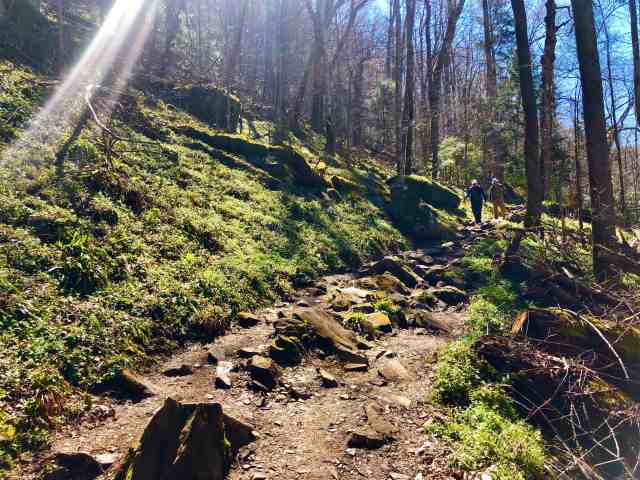 09C90F84-50C0-4010-8698-1343A27F256F